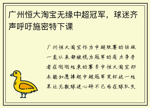 广州恒大淘宝无缘中超冠军，球迷齐声呼吁施密特下课